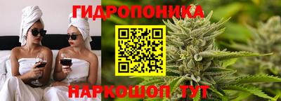 гидропоника Обь